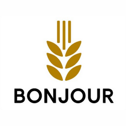 BONJOUR