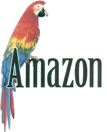 AMAZON