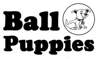 BALL PUPPIES SAY CHIZ