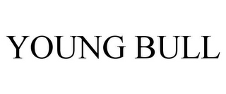 YOUNG BULL