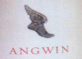 ANGWIN