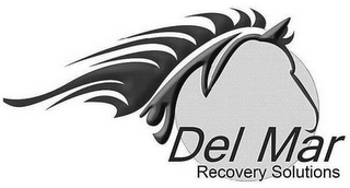 DEL MAR RECOVERY SOLUTIONS