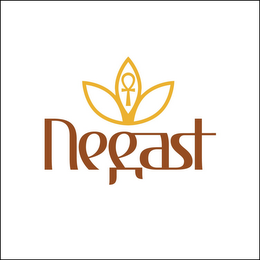 NEGAST