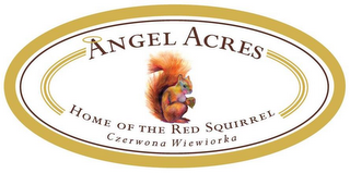 ANGEL ACRES HOME OF THE RED SQUIRREL CZERWONA WIEWIORKA