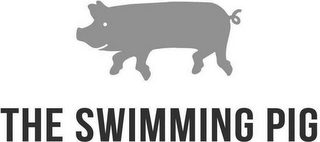 THE SWIMMING PIG