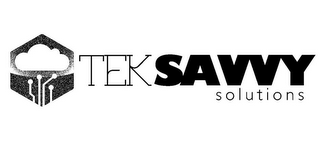 TEKSAVVY SOLUTIONS