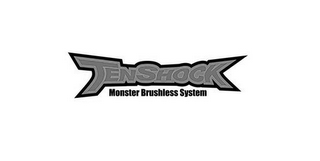 TENSHOCK MONSTER BRUSHLESS SYSTEM