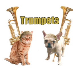 TRUMPETS