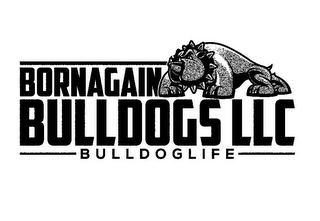 BORNAGAIN BULLDOGS LLC BULLDOGLIFE