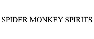 SPIDER MONKEY SPIRITS