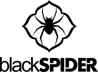 BLACKSPIDER