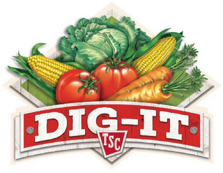 DIG-IT TSC