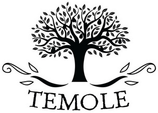 TEMOLE