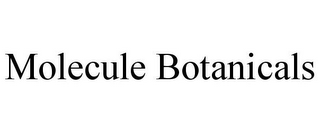 MOLECULE BOTANICALS