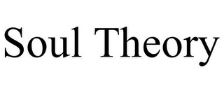 SOUL THEORY