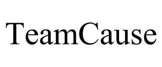 TEAMCAUSE
