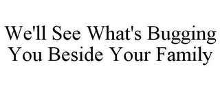 WE'LL SEE WHAT'S BUGGING YOU BESIDE YOUR FAMILY