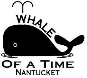 WHALE OF A TIME NANTUCKET