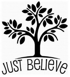 JUST BELIEVE