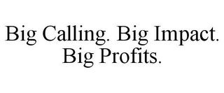 BIG CALLING. BIG IMPACT. BIG PROFITS.