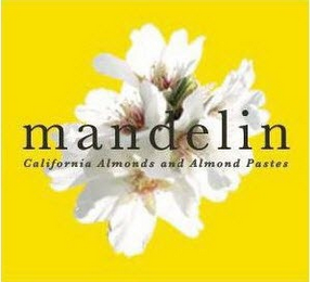 MANDELIN CALIFORNIA ALMONDS AND ALMOND PASTES