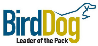 BIRDDOG LEADER OF THE PACK