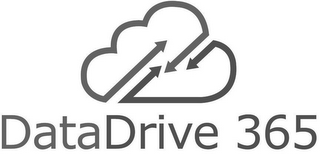 DATADRIVE 365