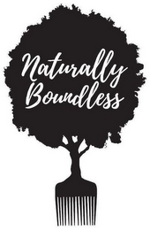 NATURALLY BOUNDLESS