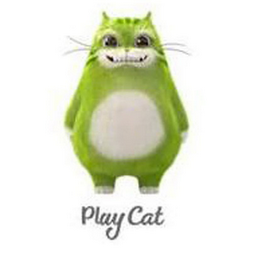 PLAY CAT