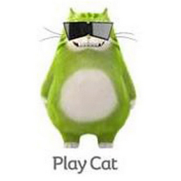 PLAY CAT