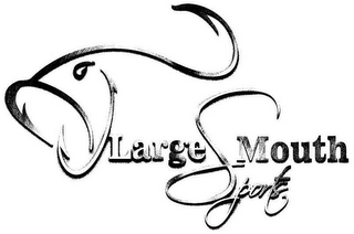 LARGE MOUTH SPORTS