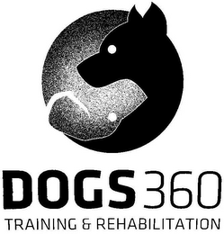 DOGS360 TRAINING & REHABILITATION