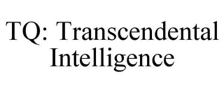 TQ: TRANSCENDENTAL INTELLIGENCE