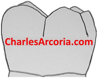 CHARLESARCORIA.COM