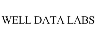 WELL DATA LABS