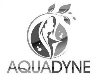 AQUADYNE