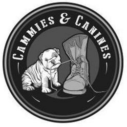 CAMMIES & CANINES