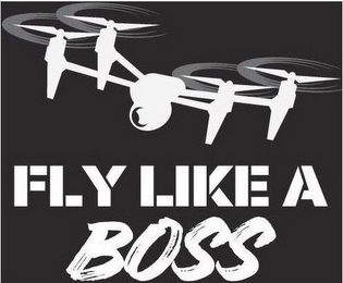 FLY LIKE A BOSS