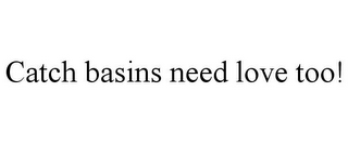 CATCH BASINS NEED LOVE TOO!