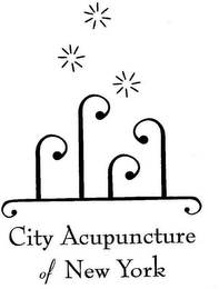 CITY ACUPUNCTURE OF NEW YORK