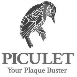 PICULET YOUR PLAQUE BUSTER