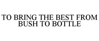 TO BRING THE BEST FROM BUSH TO BOTTLE