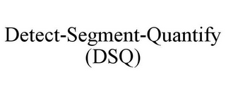 DETECT-SEGMENT-QUANTIFY (DSQ)