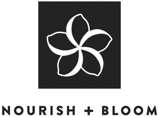 NOURISH + BLOOM