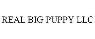 REAL BIG PUPPY LLC