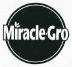 MIRACLE-GRO