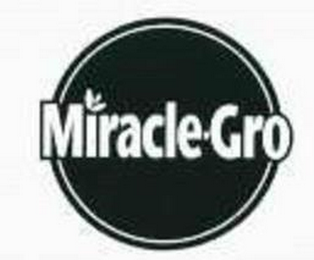 MIRACLE-GRO