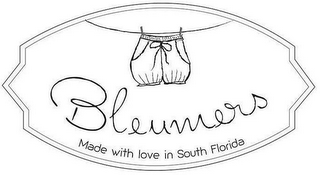 BLEUMERS MADE WITH LOVE IN SOUTH FLORIDA