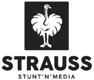 STRAUSS STUNT'N'MEDIA