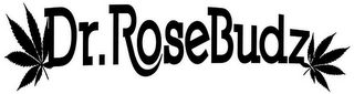 DR. ROSEBUDZ